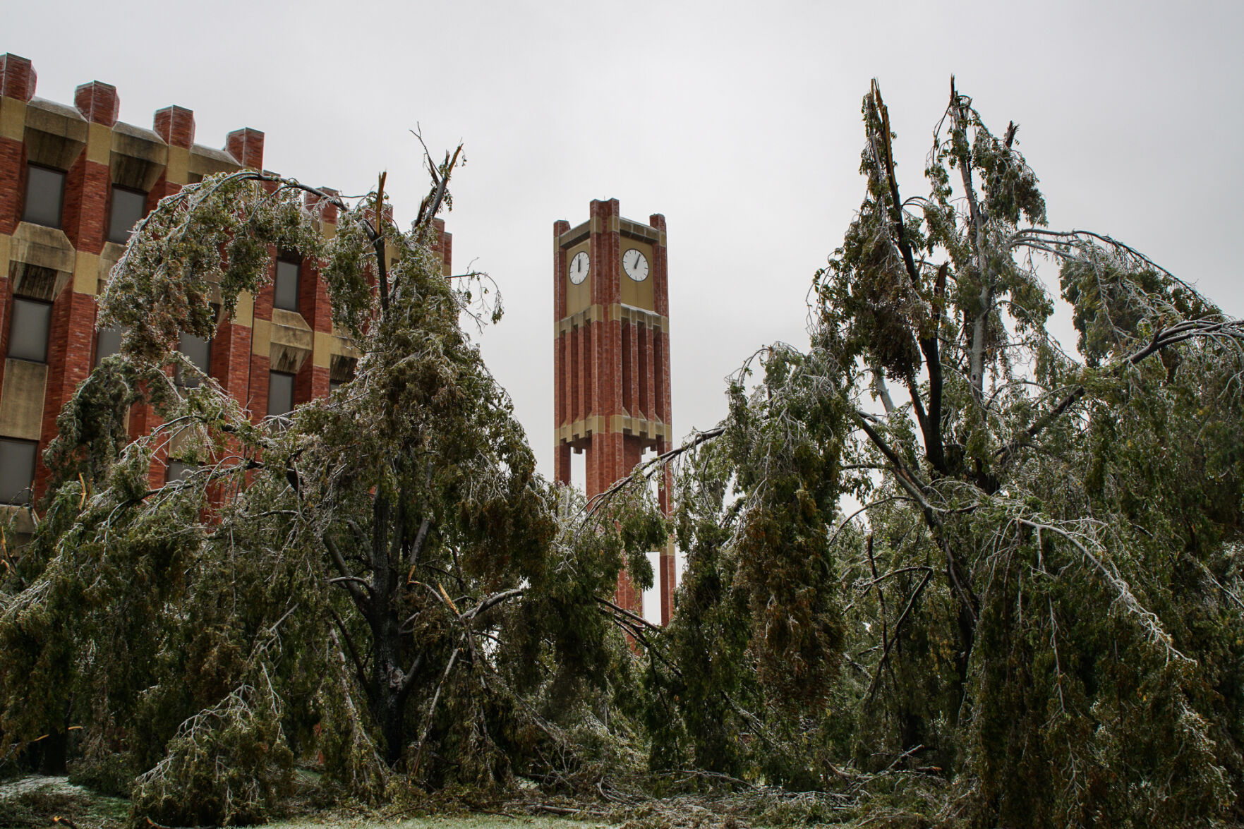 Broken trees